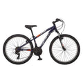 Schwinn Boy Ranger 24 Mountain bike- Silver Red