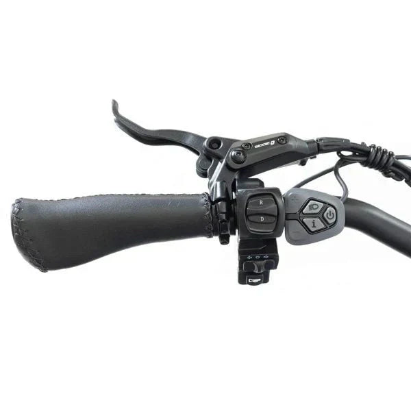 SILVERADO 20 48V/14AH 750W Foldable Fat Tire Electric Trike, 330LBS (96817362)