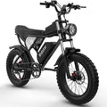 Electric Bike for Adults Ridstar, 20" Fat Tire Electric Motorcycle, 1000W Electric Bike with Removable 48V/20ah Battery E - Bike Shimano 7 Full Suspension Electric Bicycle