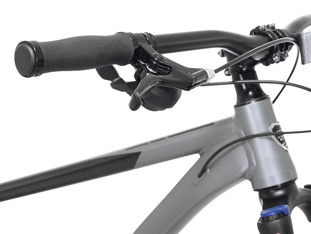 Kent Bicycles 29" Men'S Trouvaille Mountain Bike Large, Black and Taupe